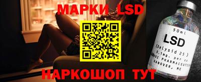 амф Донской