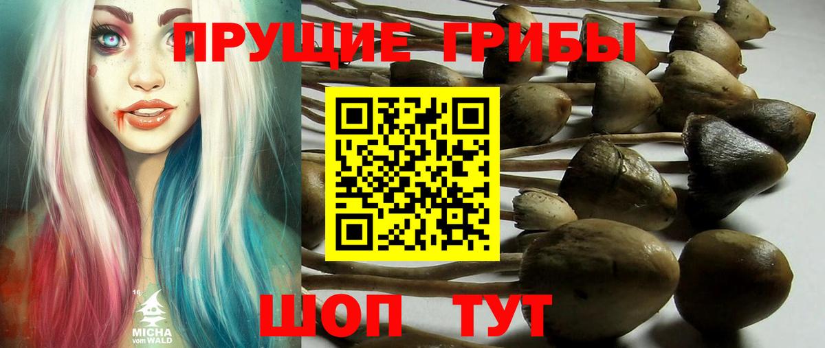 Псилоцибиновые грибы Cubensis  Вход с VPN  Муравленко 